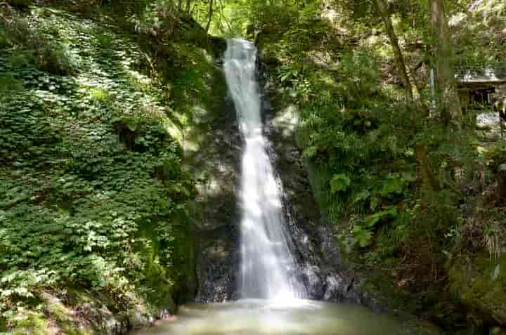 �����E��̑�